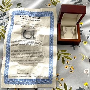 Diamond Hoop Earrings